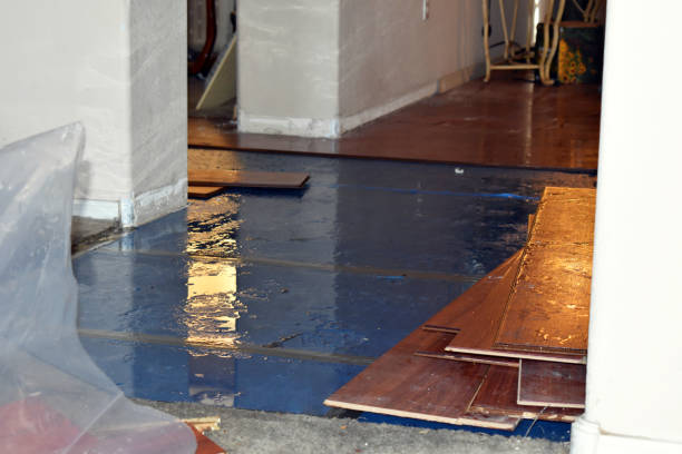 Professional Sewage Cleanup technician working in Hometown, WV